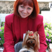 Emma`s Caprice &mdash; Labaza DogPedigree YorkshireTerrier